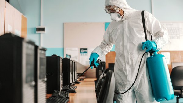 Contactez un dératiseur pour éviter la prolifération des nuisibles dans votre entreprise